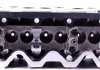 Головка блоку циліндрів VW Crafter 2.5TDI 06-13 AMC 908713 (фото 9)