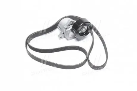 Комплект ремня генератора Renault RENAULT / DACIA 117208464R