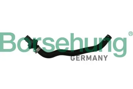 Соединительный шланг с обратным клапаном (OE) BORSEHUNG B11971
