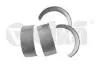 Вкладиші шатунні нижні 0.25MM (к-кт) Vika 11050706501 (фото 1)