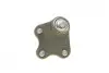 Опора кульова (передня/знизу/L) VW Polo/Skoda Fabia 1.0-2.0 99- BORSEHUNG B11340 (фото 5)