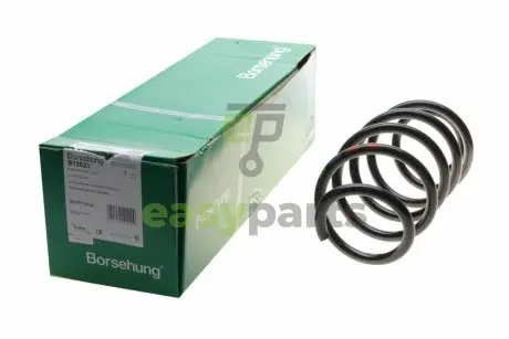 Пружина (передня) VW Caddy 04-/Passat 05-14 (OE VAG) BORSEHUNG B12623