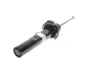 Амортизатор (передній) Mini (F55/F56/F57) 1.2-2.0D 13- (R) (B4) BILSTEIN 22241801 (фото 1)