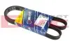 Ремінь генератора Ford Escort 1.8TD 95-00 (5PK1145) MEYLE 0500051145 (фото 1)