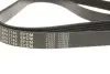 Ремінь генератора Peugeot Expert/Citroen Berlingo 1.9D/TD 96-/2.0HDI 00- (6PK1740) MEYLE 0500061740 (фото 2)