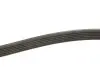 Ремінь генератора Citroen Berlingo 1.9D 98- (6PK1390) MEYLE 0500061390 (фото 3)