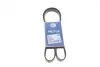 Ремінь генератора Citroen Berlingo/Fiat Scudo 1.9D (1868) (6PK1438) MEYLE 0500061438 (фото 1)