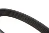 Ремінь генератора Citroen Berlingo/Fiat Scudo 1.9D (1868) (6PK1438) MEYLE 0500061438 (фото 2)