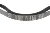 Ремінь генератора Citroen Berlingo/Fiat Scudo 1.9D (1868) (6PK1438) MEYLE 0500061438 (фото 3)