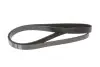 Ремінь генератора Citroen Berlingo/Fiat Scudo 1.9D (1868) (6PK1438) MEYLE 0500061438 (фото 4)
