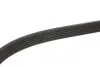 Ремінь генератора MB Sprinter CDI (-AC) (з обводним роликом) (6PK2260) MEYLE 0500062260 (фото 2)