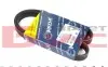 Ремінь генератора Peugeot Partner 1.1/1.4 96- (5PK890) MEYLE 0500050890 (фото 1)