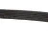 Ремінь генератора Peugeot Partner 10-/Citroen Berlingo 05- 1.6 HDI (6PK976) MEYLE 0500060976 (фото 2)
