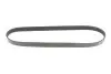 Ремінь генератора Peugeot Partner 10-/Citroen Berlingo 05- 1.6 HDI (6PK976) MEYLE 0500060976 (фото 4)