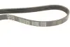 Ремінь генератора Audi A6 08- (5PK950) MEYLE 0500050950 (фото 4)