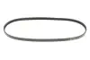 Ремінь генератора Fiat Doblo 1.6i 01- (4PK875) MEYLE 0500040875 (фото 1)