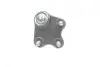Фото 6 - опора кульова (передня/знизу/R) VW Polo/Skoda Fabia 1.0-2.0 99- BORSEHUNG B11339 Опора кульова (передня/знизу/R) VW Polo/Skoda Fabia 1.0-2.0 99- BORSEHUNG B11339 (фото 6)