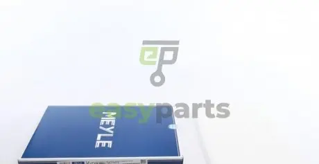 Фільтр салону Nissan Qashqai/X-Trail 07-13 MEYLE 36123190005