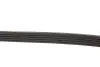 Ремінь генератора VW Passat B5/Audi A4/A6 1.9TDI 98- (5PK1435) MEYLE 0500051435 (фото 4)