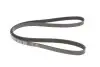Ремінь генератора VW Passat B5/Audi A4/A6 1.9TDI 98- (5PK1435) MEYLE 0500051435 (фото 5)