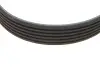 Ремінь генератора Fiat Ducato 2.0JTD 01- (ALT, AC) (6PK1468) MEYLE 0500061468 (фото 3)