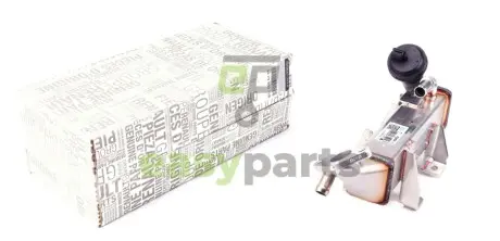 Радіатор рециркуляції ОГ Renault Master III 2.3dCi 10- RENAULT / DACIA 147356011R