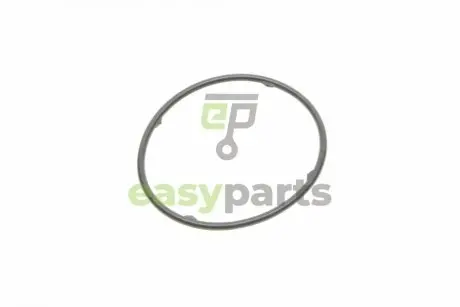 Прокладка радіатора масляного VW Golf/Polo/Sharan 94-12 VAG 001409069B