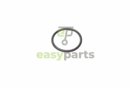 Кільце ущільнювальне свічкового колодязя 3 (E46/E90)/1 (E87) 01-07 (N46/N42) BMW 11377514007
