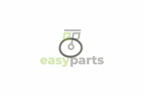 Прокладка кришки клапанів ущільнююча 5 (E60/E61)/X5 (E70/F15) 08- (20x2.5) (кільце) BMW 11127823944