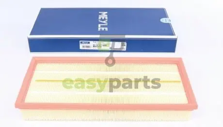 Фільтр повітряний Land Rover Discovery IV-V/Range Rover III-IV/Range Rover Sport 3.0-5.0 09- MEYLE 53123210008