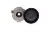 Натяжник ременя генератора Renault Kangoo/Megane/Scenic 1.2 TCe12- INA 534059010 (фото 1)