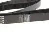 Ремінь генератора VW LT 2.5TDI 96-01/Peugeot Expert 1.9D/2.0HDI 98- (6PK1750) MEYLE 0500061750 (фото 3)