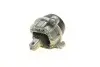 Подушка двигуна 5 (F10/F11) 2.0i xDrive 11-16 (N20) BMW 22117935147 (фото 2)