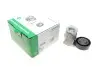 Натяжник ременя генератора Ford Focus/Volvo C30/C70/S40/V50/XC90 04-14 INA 534002910 (фото 1)