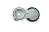 Натяжник ременя генератора Ford Focus/Volvo C30/C70/S40/V50/XC90 04-14 INA 534002910 (фото 3)