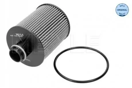 Фільтр масляний Chevrolet Aveo/Citroen Nemo/Fiat Doblo/Opel Astra J/Combo 1.3D-2.0D 05- MEYLE 6143220016
