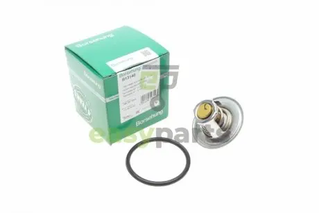 Термостат VW T5/Caddy/Passat 1.6/2.0i 03-15 (від 87-102 ° C) (OE VAG) BORSEHUNG B13140