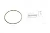 Прокладка труби вихлопної 3 (E90/F30/F80)/5 (F10)/7 (F01/F04) 05- N57/B57 BMW 11657808159 (фото 2)