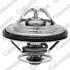 Термостат VW Transporter IV, V/Golf III, IV, V/Audi A3/A6/A8 2.0-3.2 i/D 90- (82 C) Vernet TH652982J (фото 1)