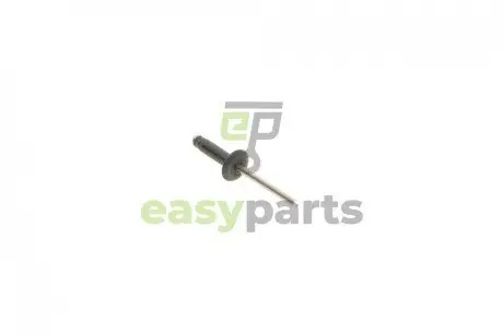 Кліпса кріплення Renault Clio/Master/Megane/Scenic 98- RENAULT / DACIA 7703072337