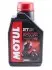 Масло для 2-х тактных двигателей 100% синтетическое эстеровое MOTUL 832101 / 105881 (фото 1)
