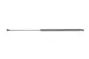 Амортизатор кришки багажника Honda Civic 05- STABILUS 018471 (фото 6)