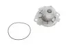 Комплект ГРМ + помпа Opel Astra/Fiat Grande Punto 1.9CDTI 04- SKF VKMC 05194 (фото 14)