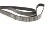 Ремінь генератора Audi/BMW/Chevrolet/MB/Opel (6PK1875) MEYLE 050 006 1875 (фото 2)