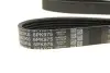 Комплект ременя генератора Citroen Berlingo 1.6HDI 08- (6PK975) DAYCO KPV333 (фото 5)