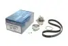Комплект ГРМ + помпа Audi A3/A4/Skoda Octavia/VW Caddy III/Golf IV/V/Passat/Touran 1.6 95- (23x138z) KTBWP2530