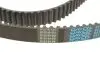 Комплект ГРМ + помпа Audi A3/A4/Skoda Octavia/VW Caddy III/Golf IV/V/Passat/Touran 1.6 95- (23x138z) DAYCO KTBWP2530 (фото 3)