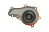 Комплект ГРМ + помпа Citroen Berlingo/Jumpy/Peugeot Partner 1.6HDI/Fiat Scudo 1.6 D 10- (25x141z) DAYCO KTBWP9590 (фото 6)
