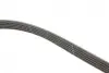 Комплект ременя генератора Renault Megane/Scenic 1.4/1.6 00-09 (5PK1750) Gates K015PK1750 (фото 9)
