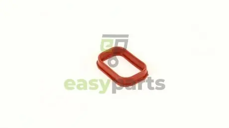 Прокладка колл.IN Ford 2.0DI/2.0TDI/2.4DI 00- AJUSA 13169800